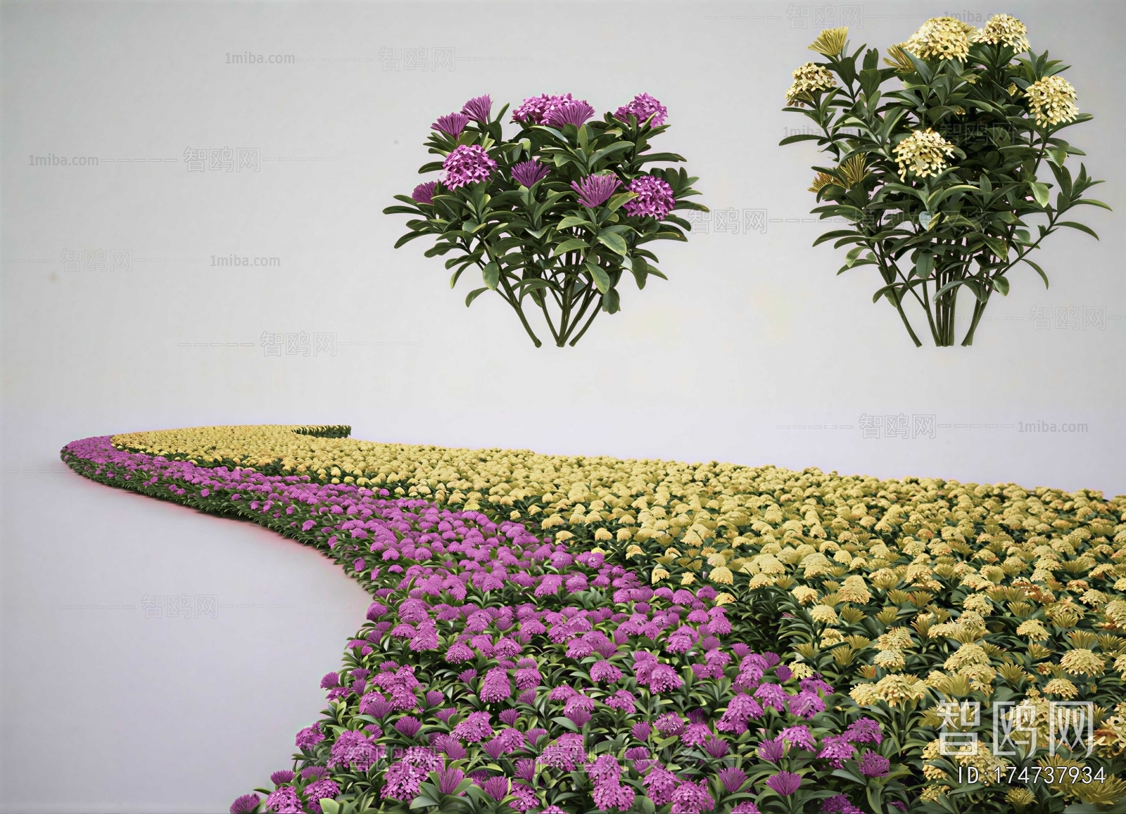 Modern Flowers And Grass