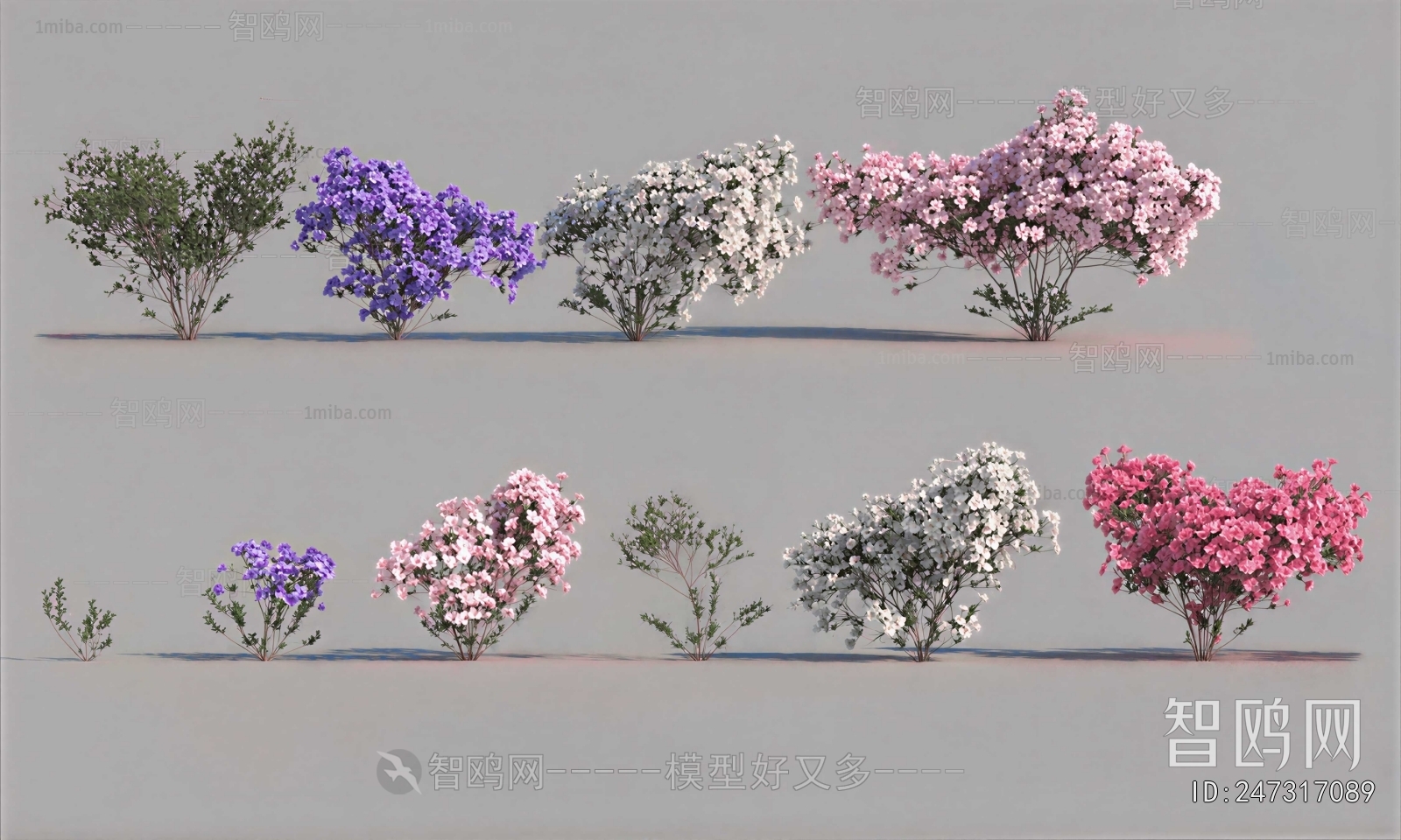 Modern Flowers And Grass