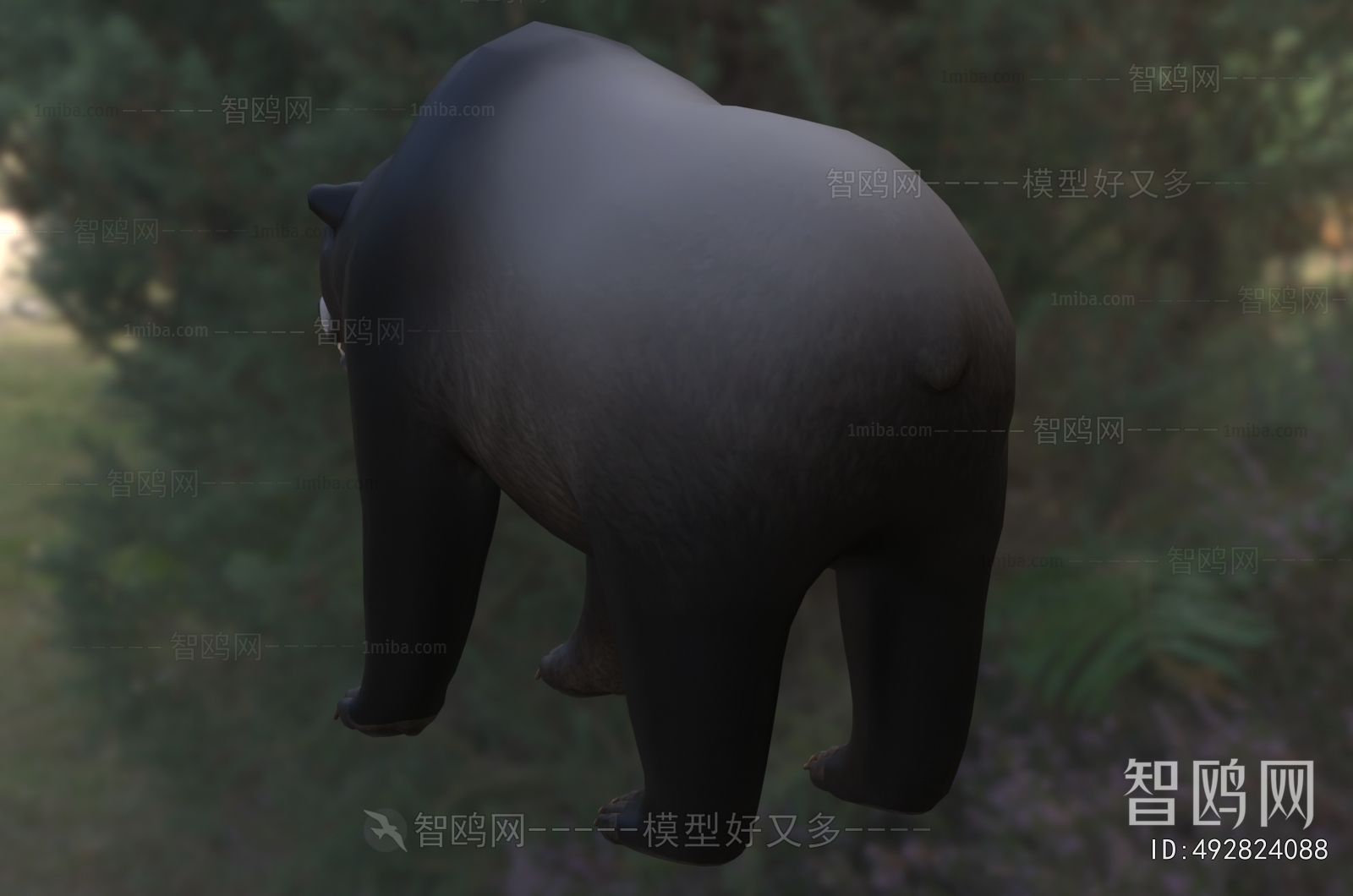 Modern Mammal