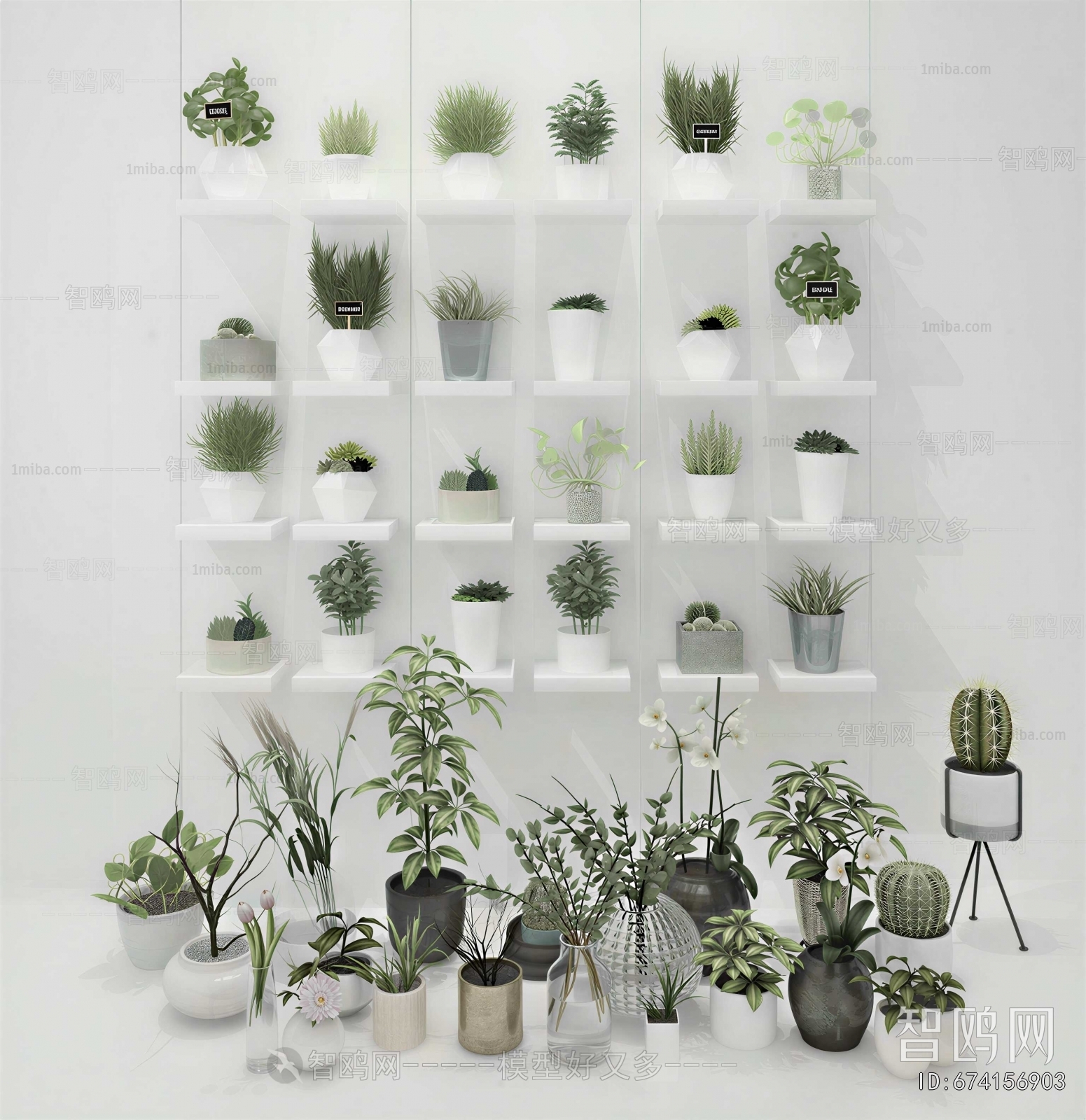 Modern Potted Green Plant
