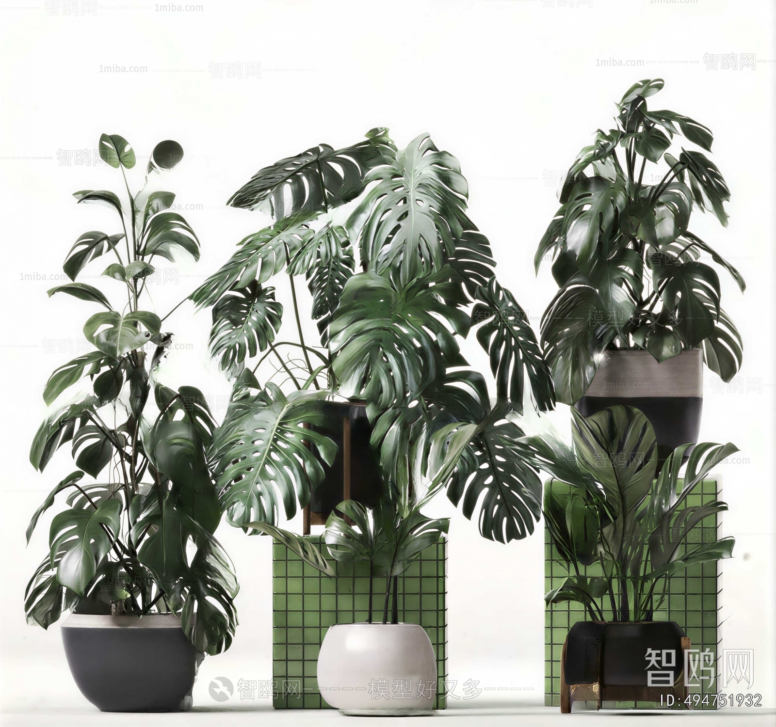 Modern Ground Green Plant Potted Plants