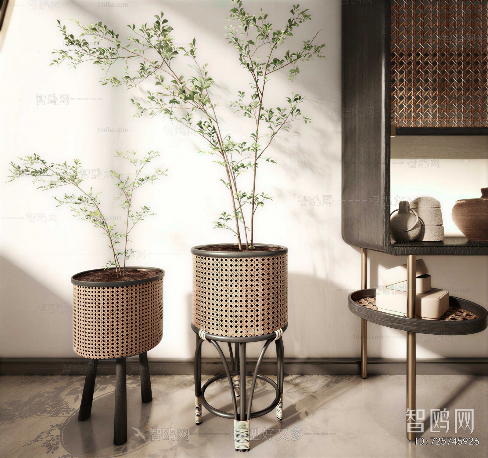Modern Ground Green Plant Potted Plants