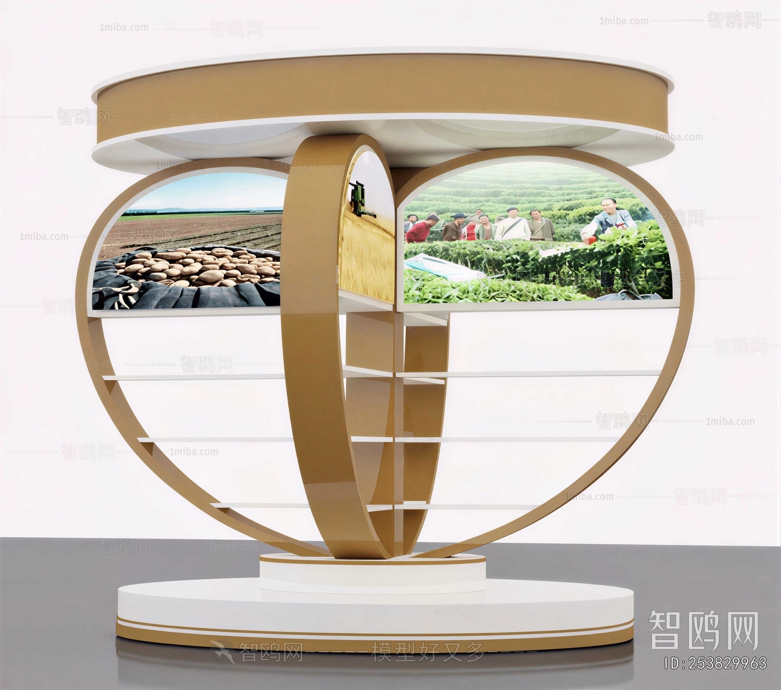 Modern Showcase