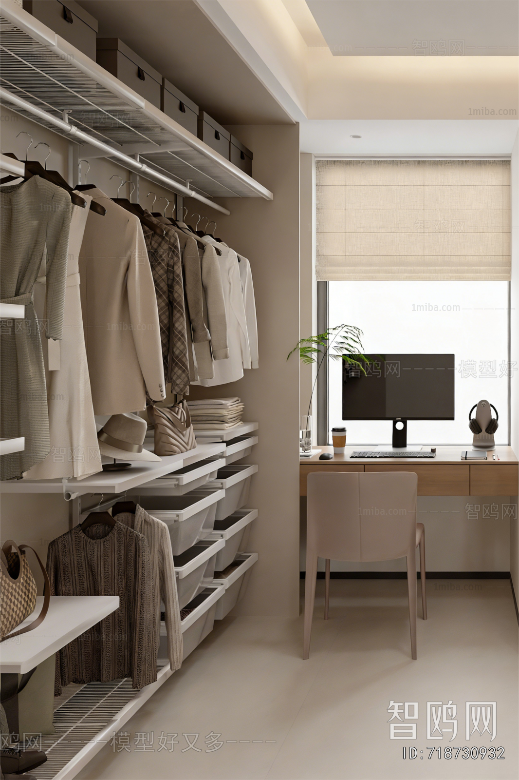 Modern Clothes Storage Area