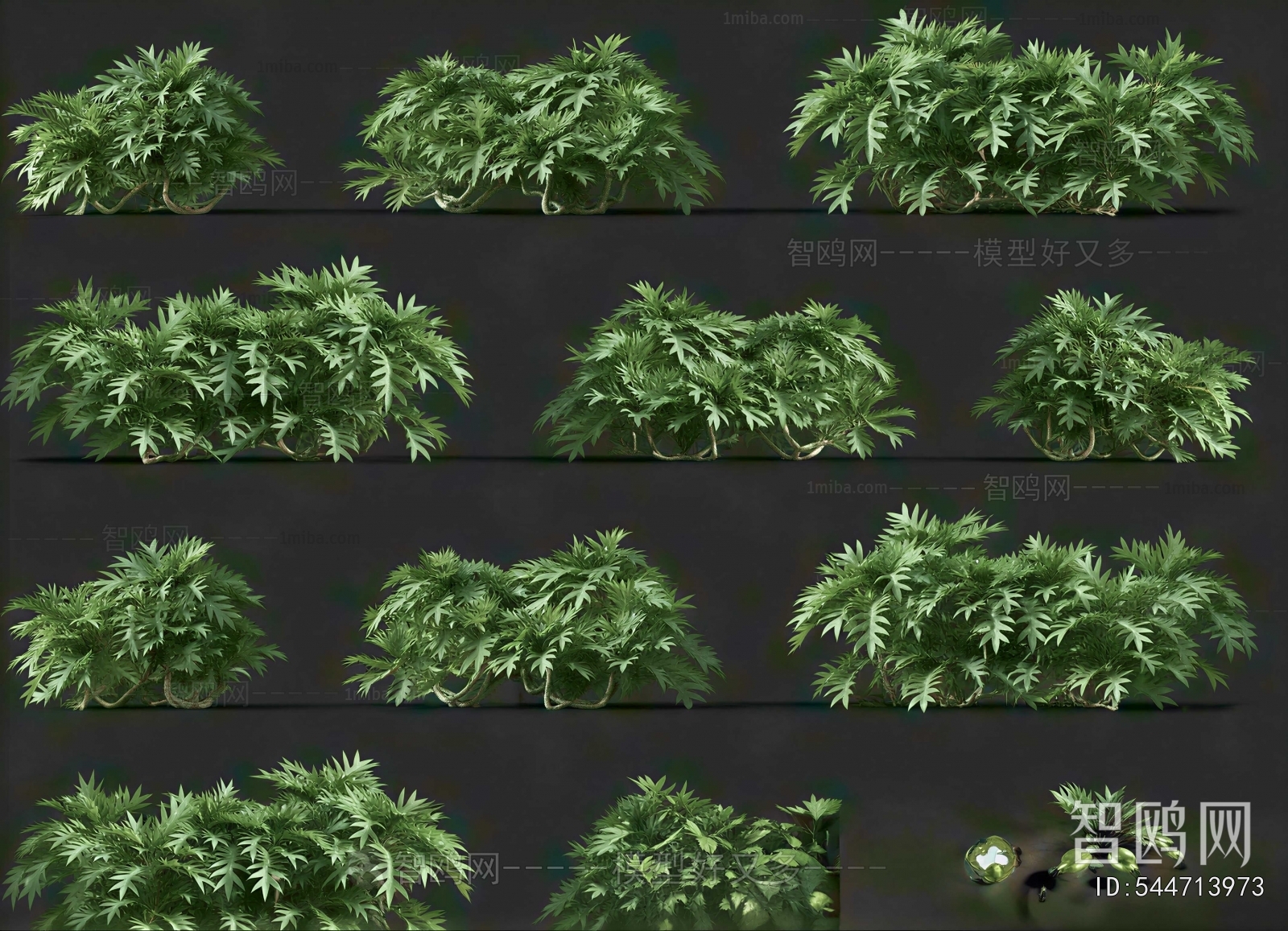 Modern Shrubbery