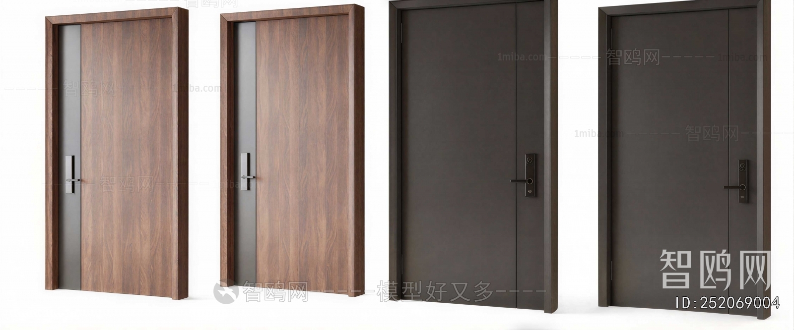 Modern Entrance Door