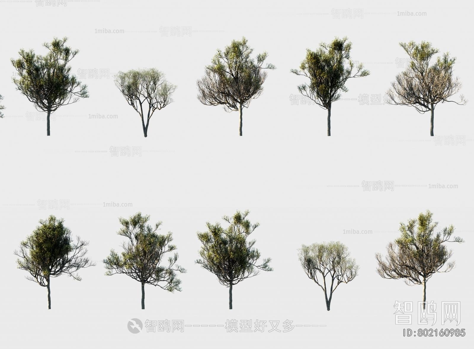 Modern Tree