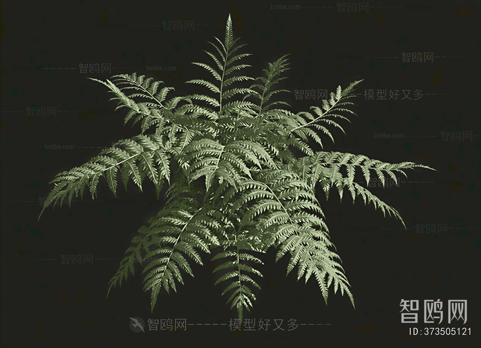 Modern The Grass