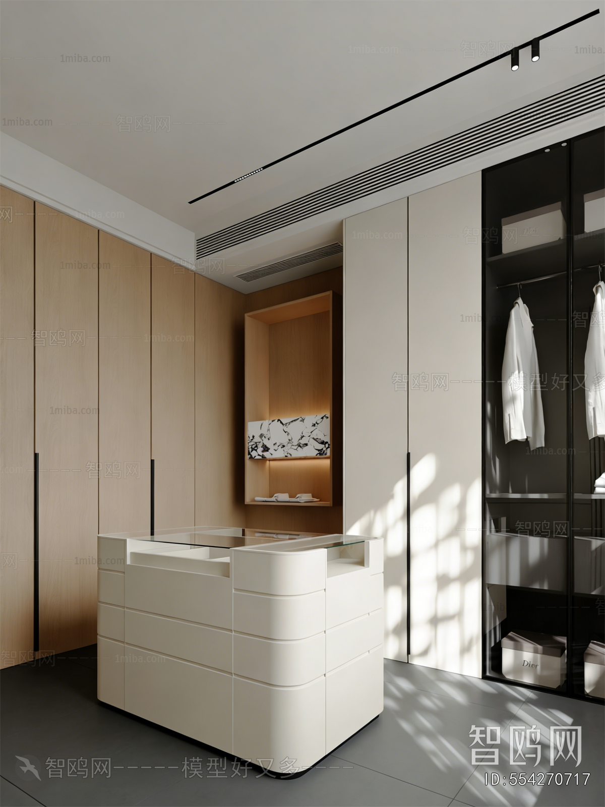 Modern Clothes Storage Area