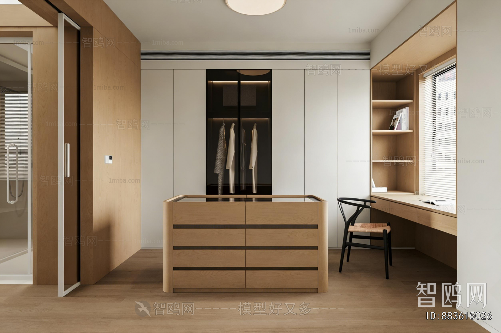 Modern Clothes Storage Area