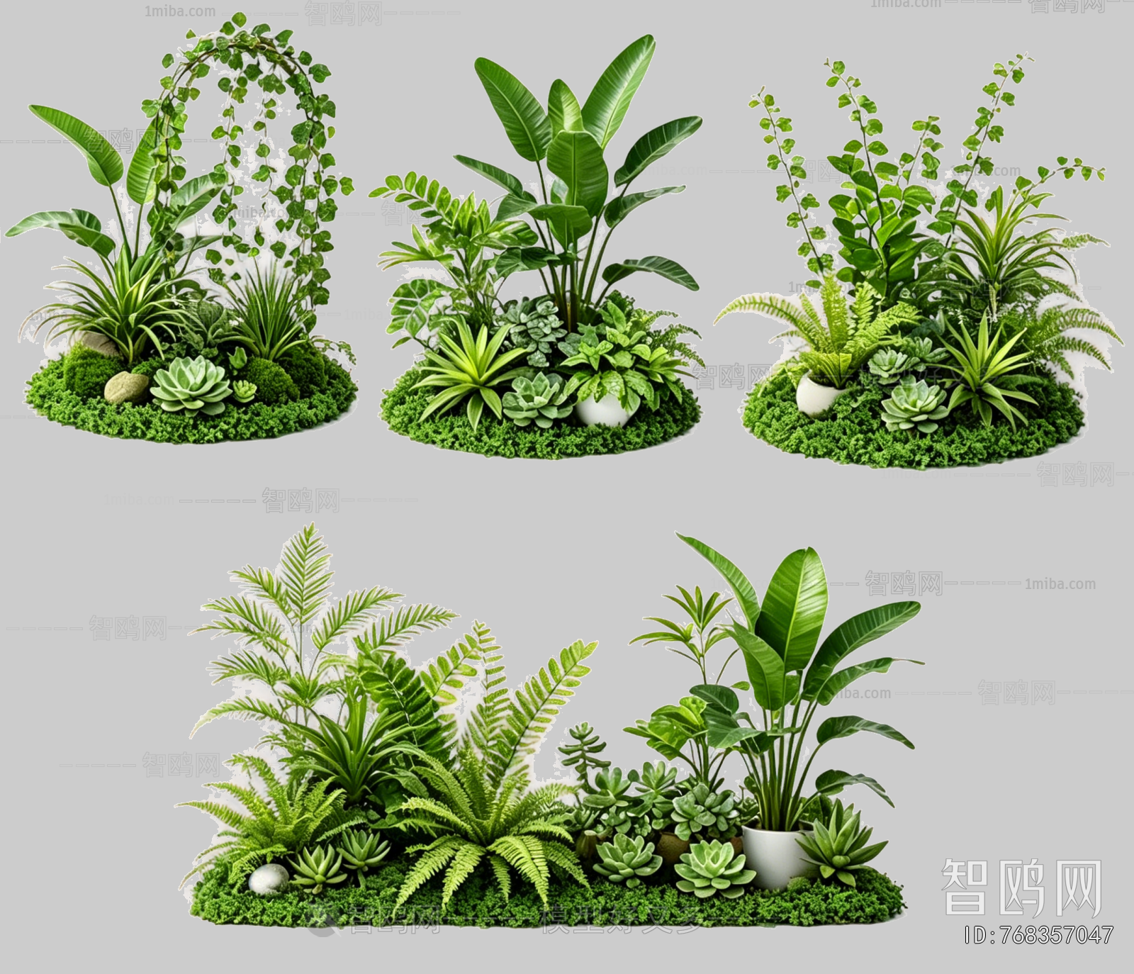 Plant Leaves