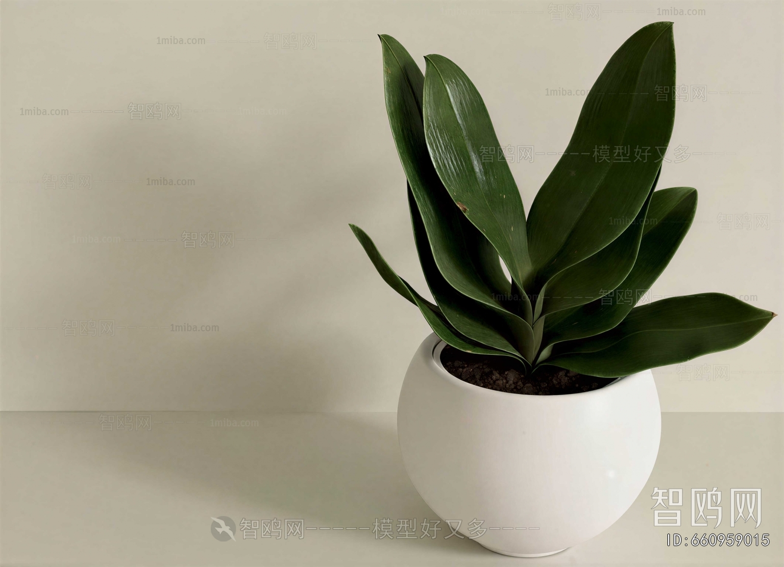 Modern Desktop Plant