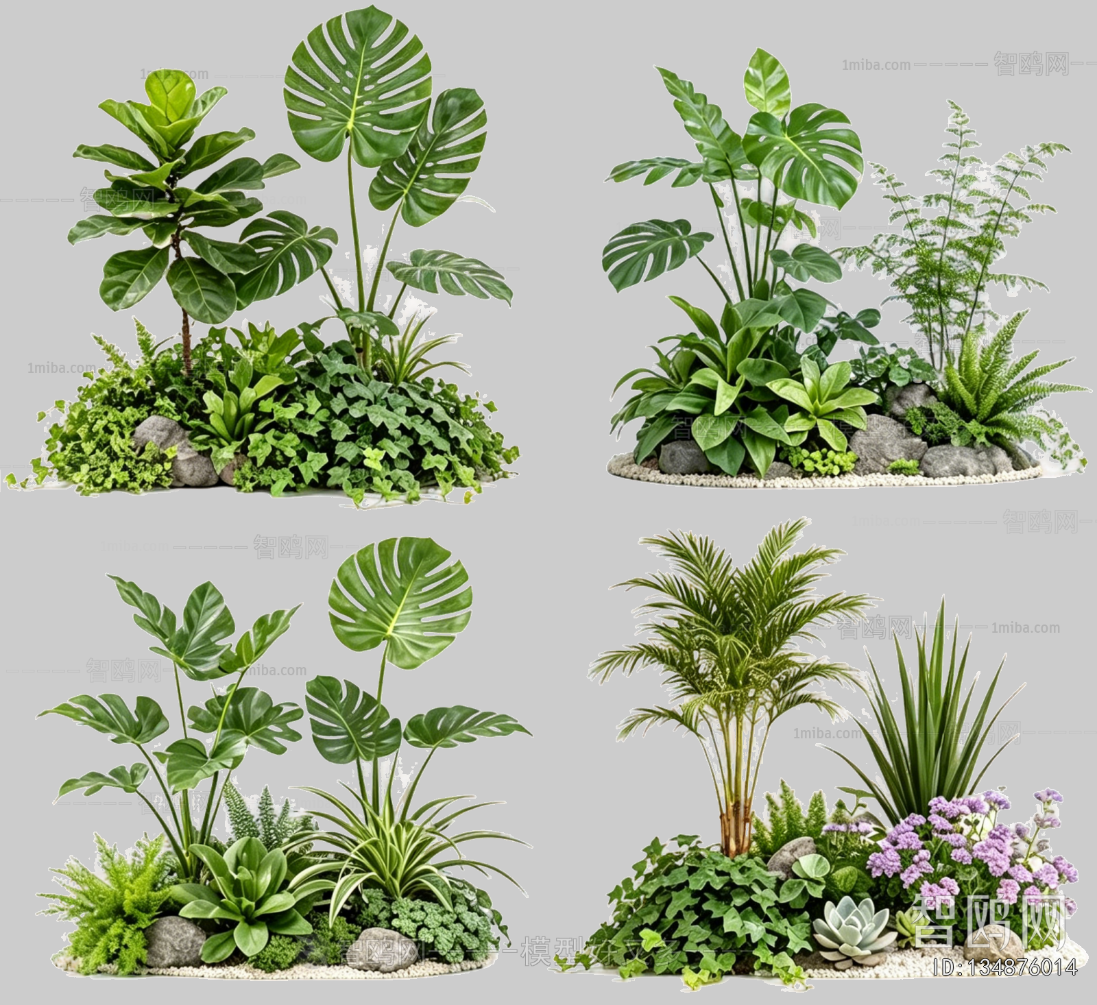 Plant Leaves
