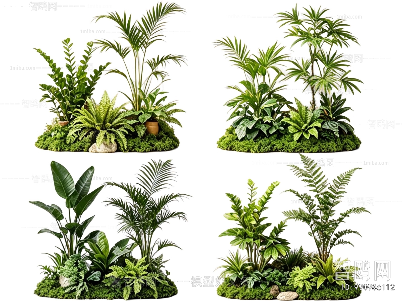 Modern Plant Landscaping