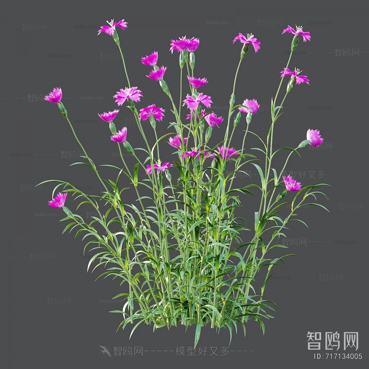 Modern Flowers And Grass