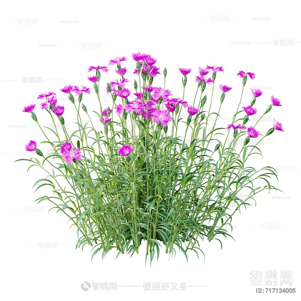 Modern Flowers And Grass