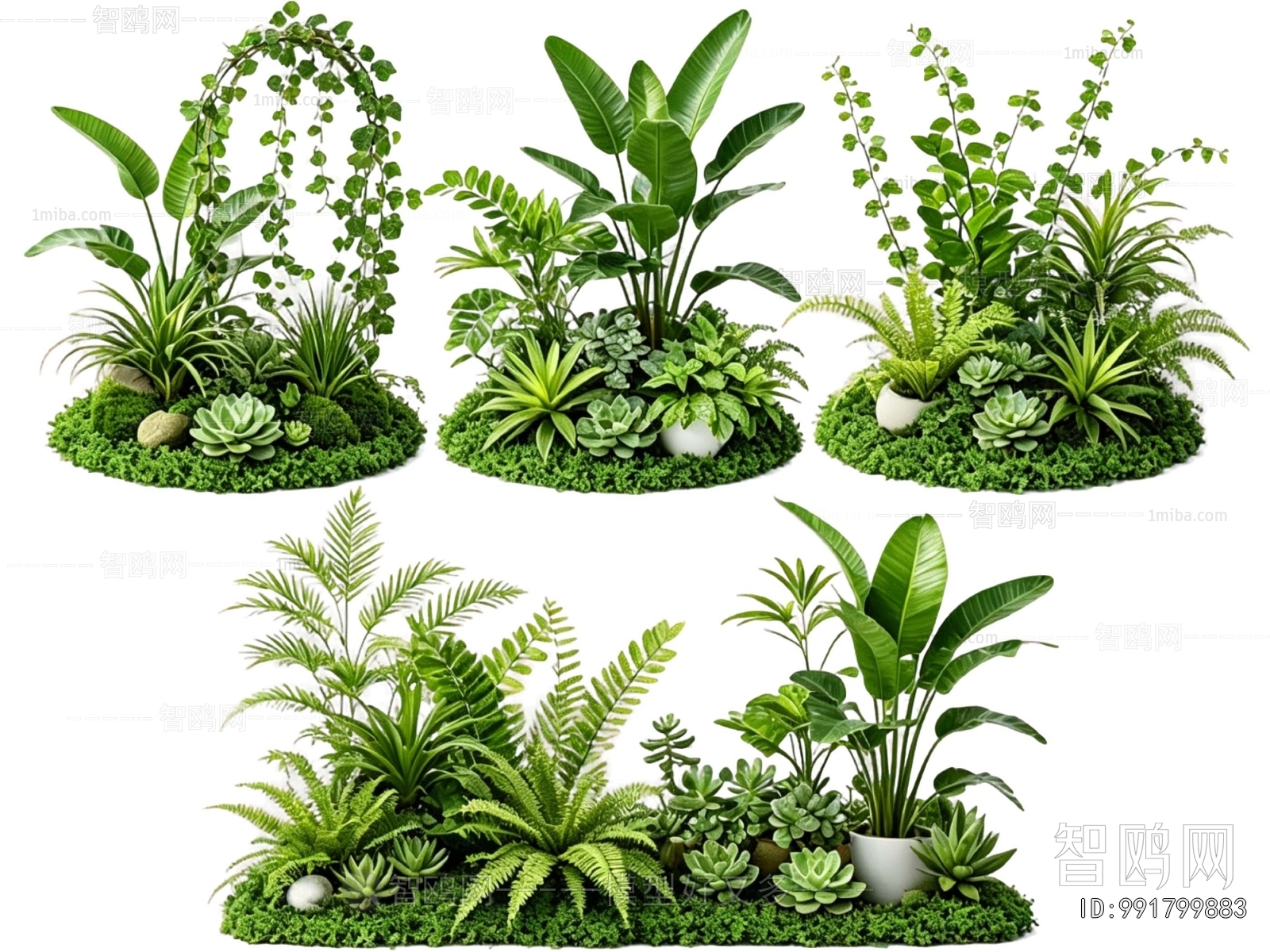 Modern Plant Landscaping