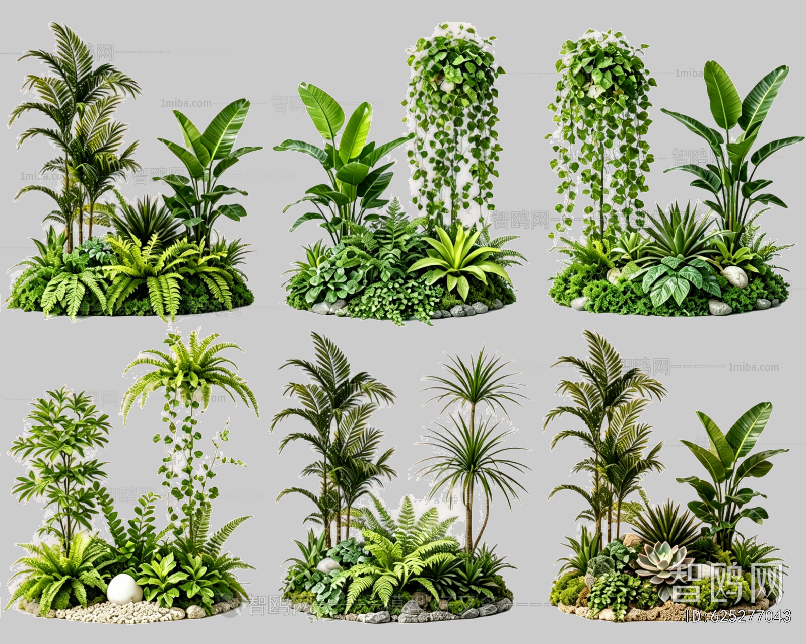 Plant Leaves