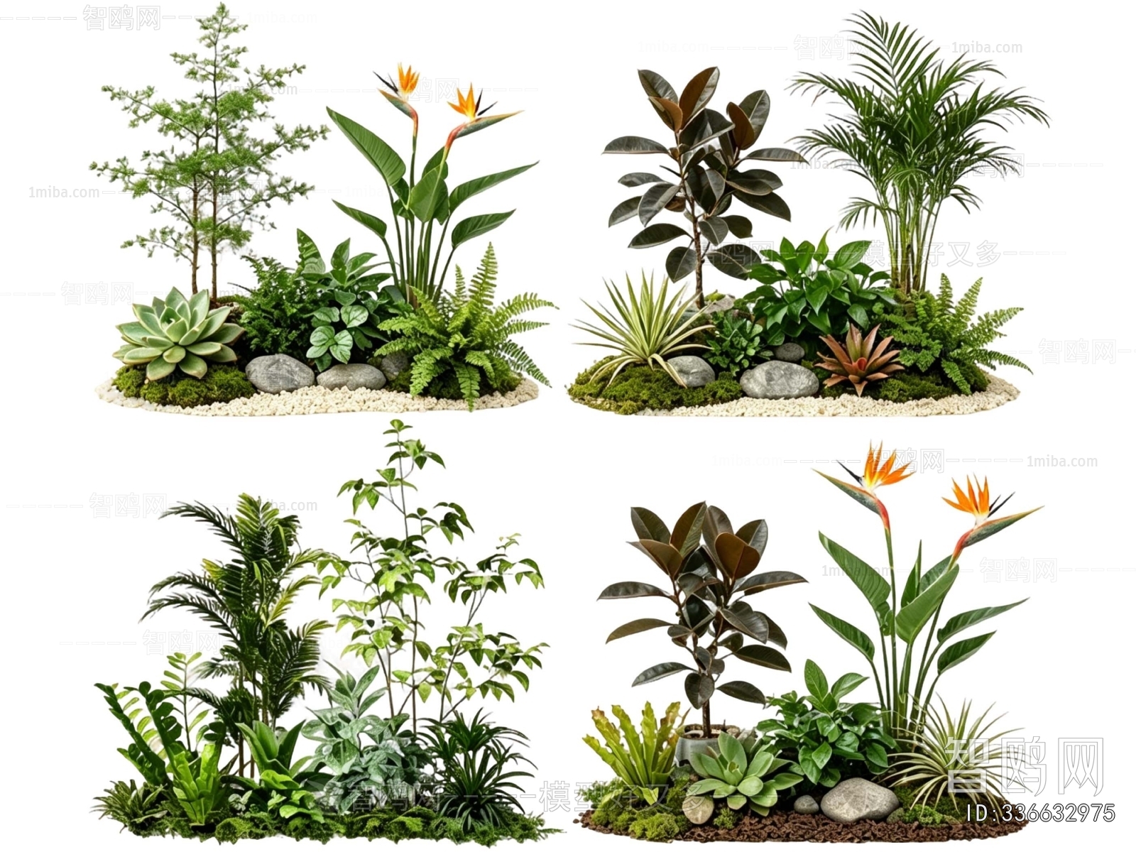 Modern Plant Landscaping
