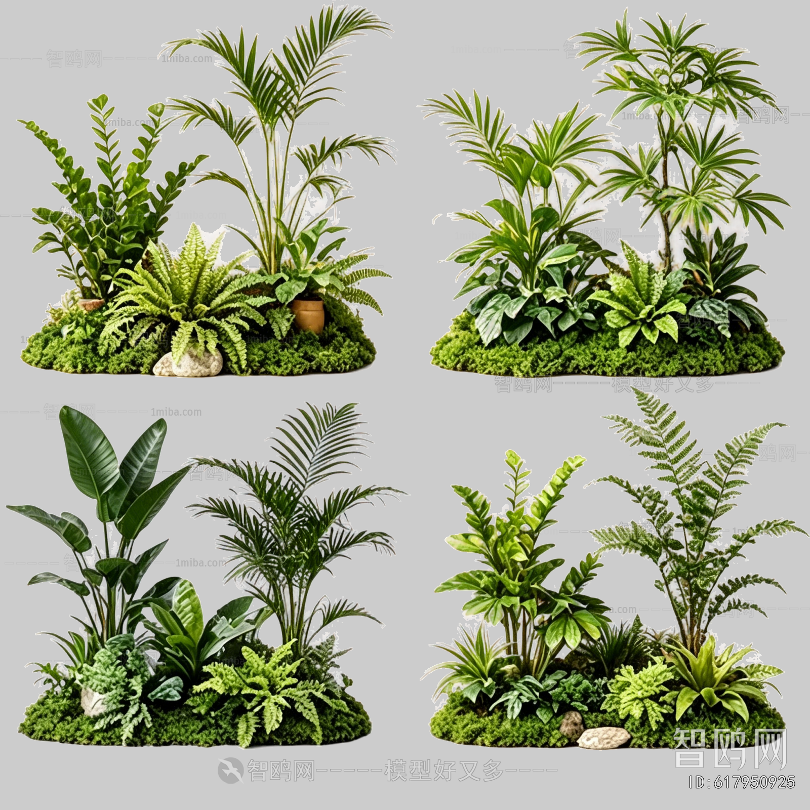 Plant Leaves