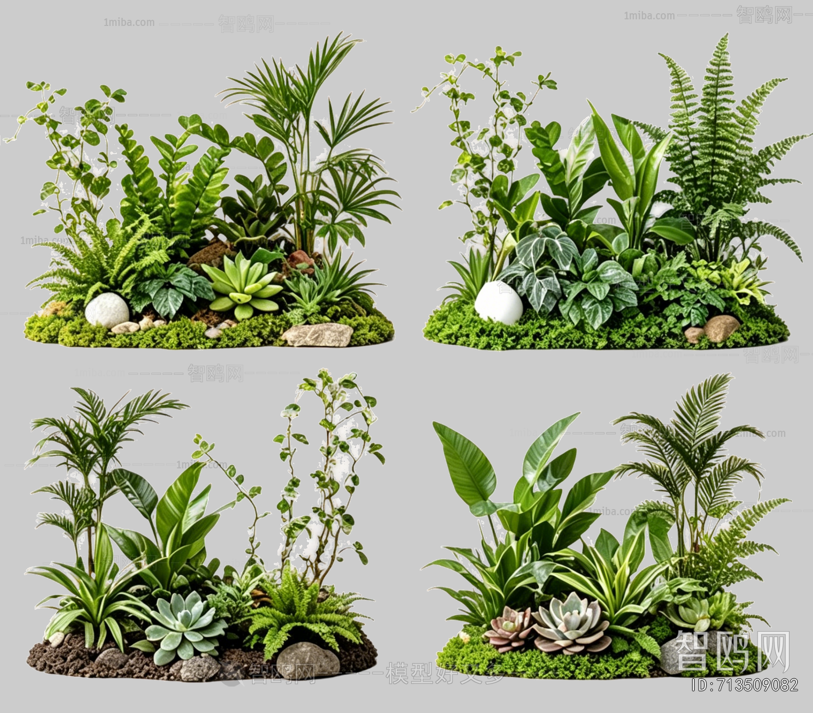 Plant Leaves