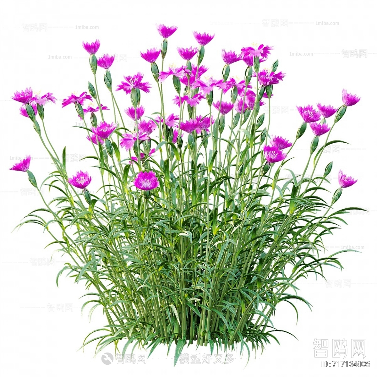 Modern Flowers And Grass