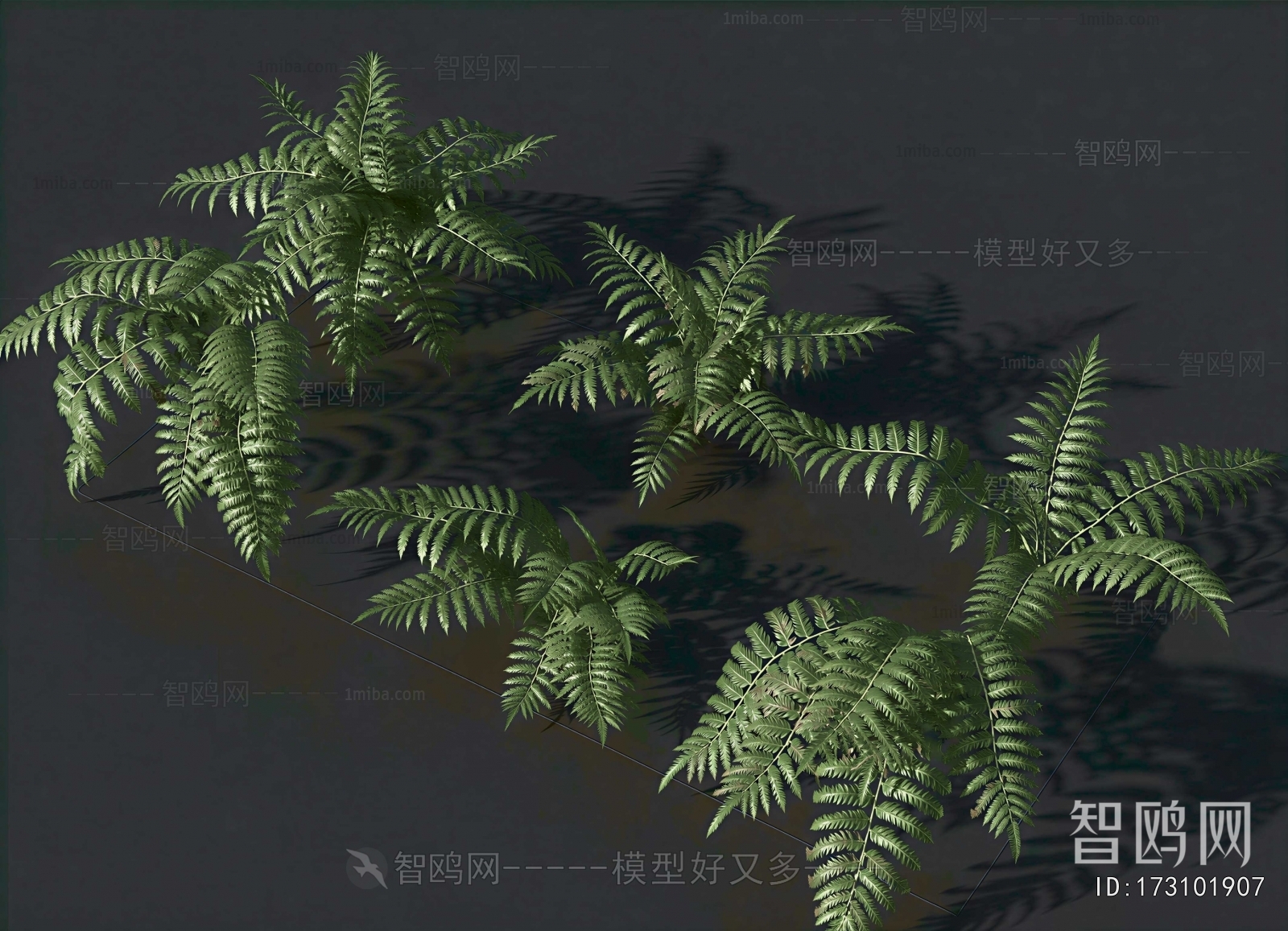 Modern The Grass
