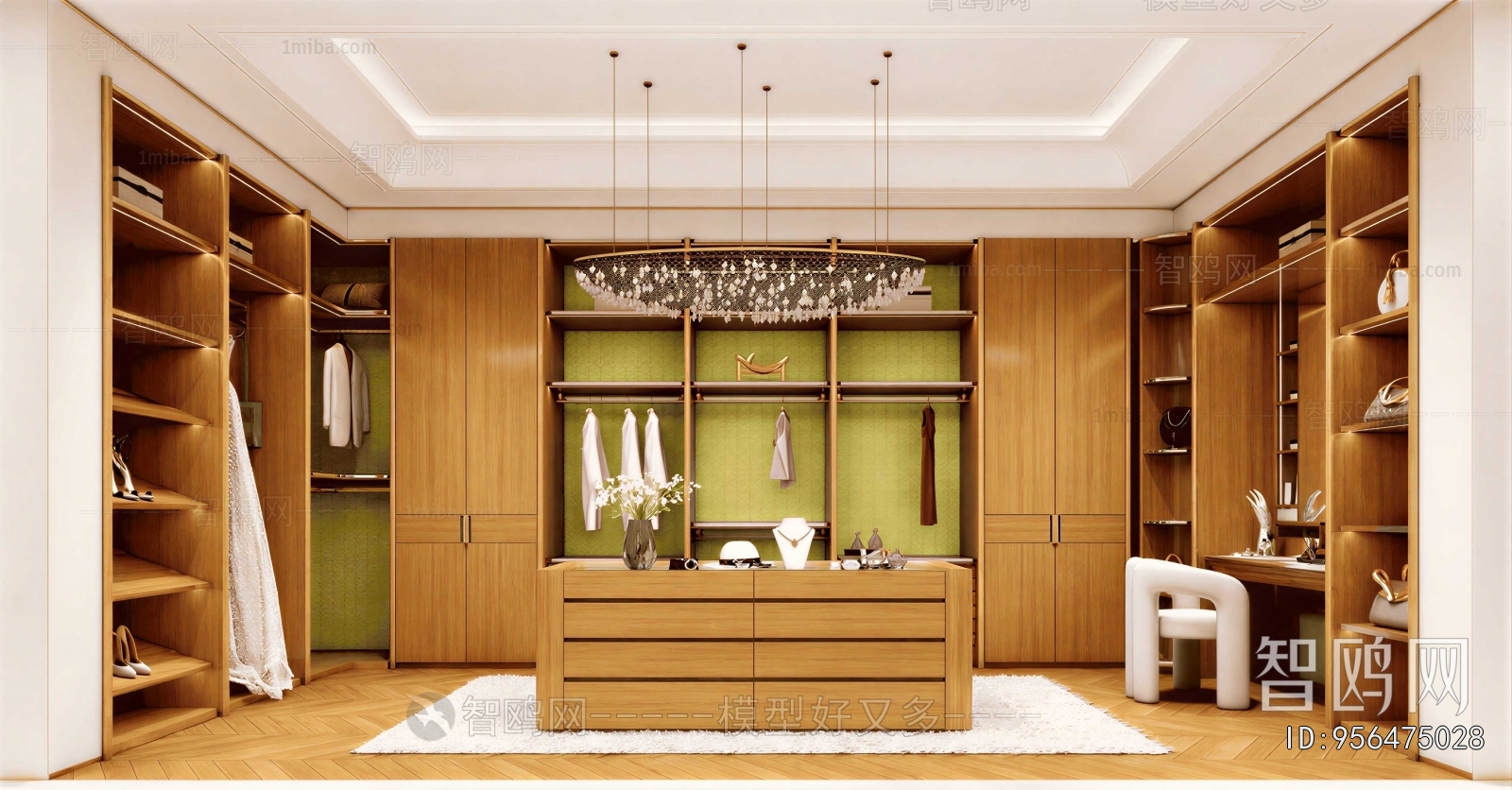 Modern Clothes Storage Area