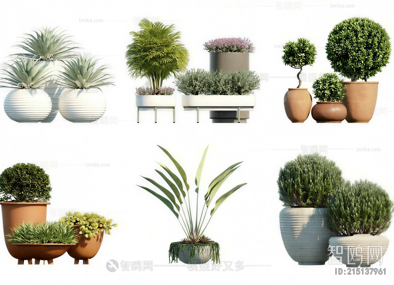Modern Ground Green Plant Potted Plants