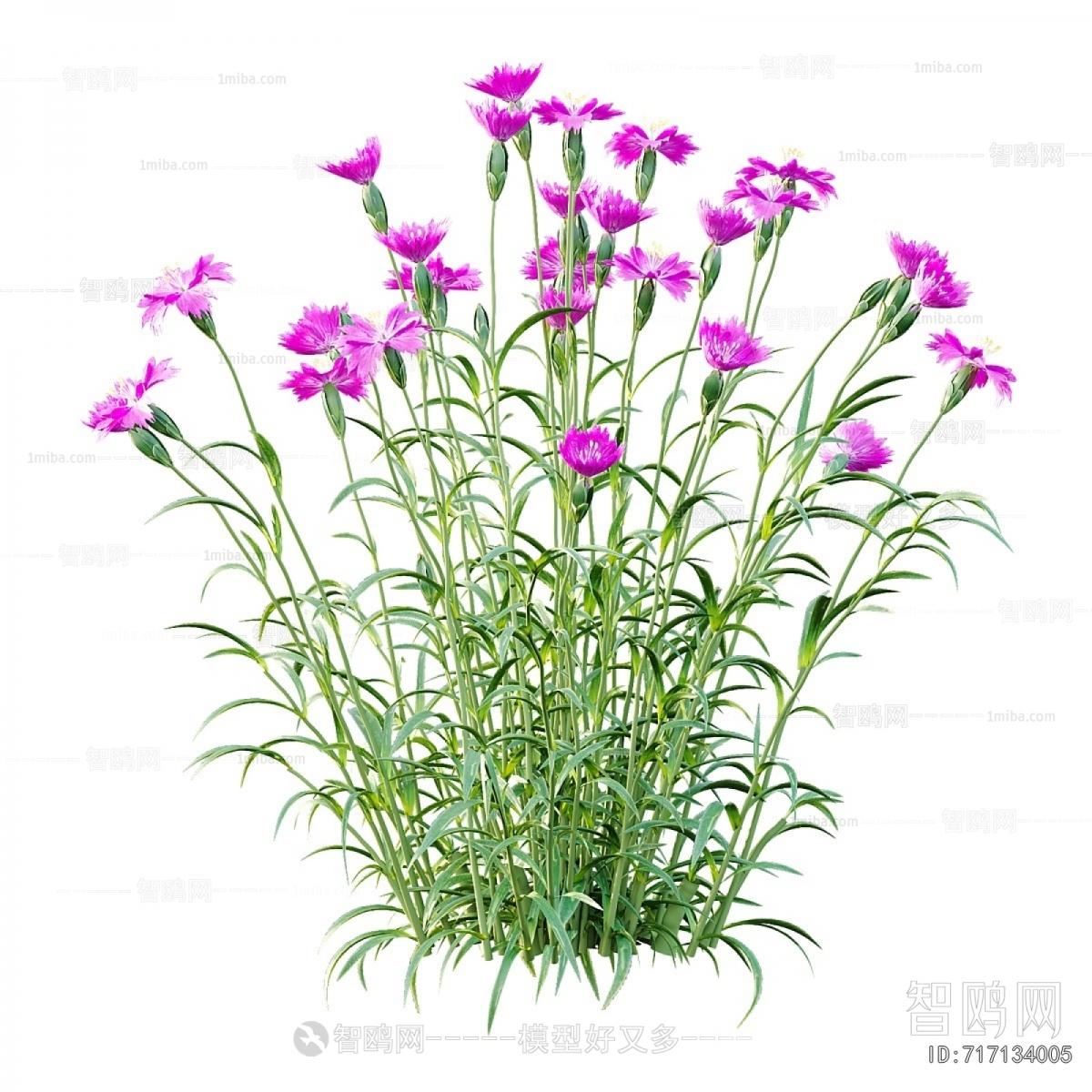 Modern Flowers And Grass