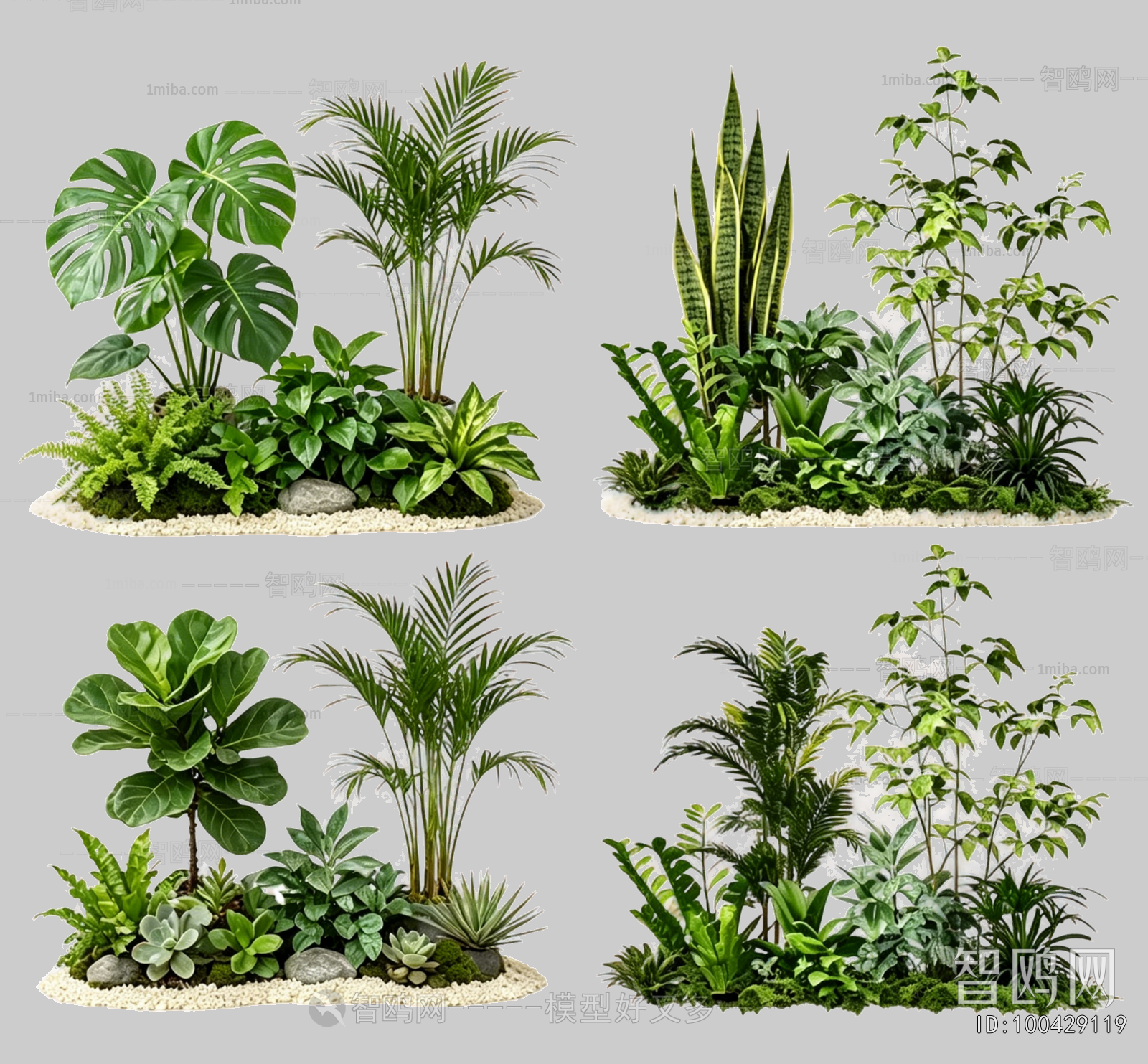 Plant Leaves