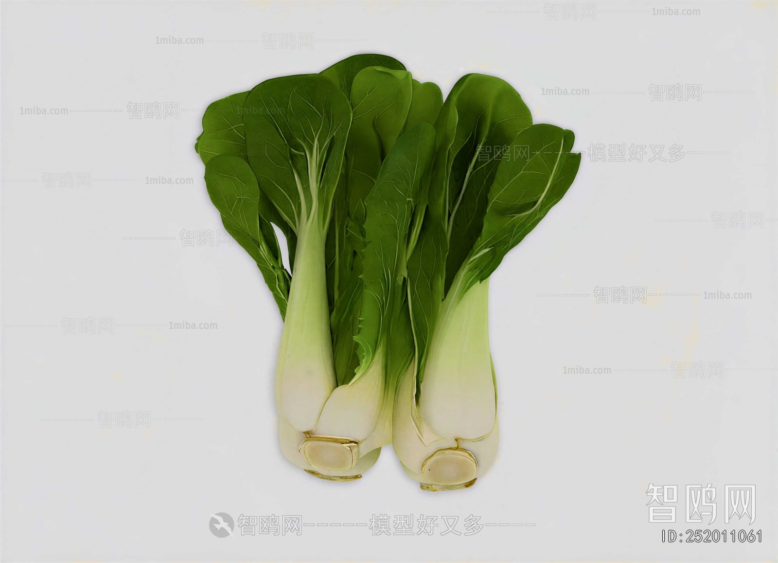 Modern Crop