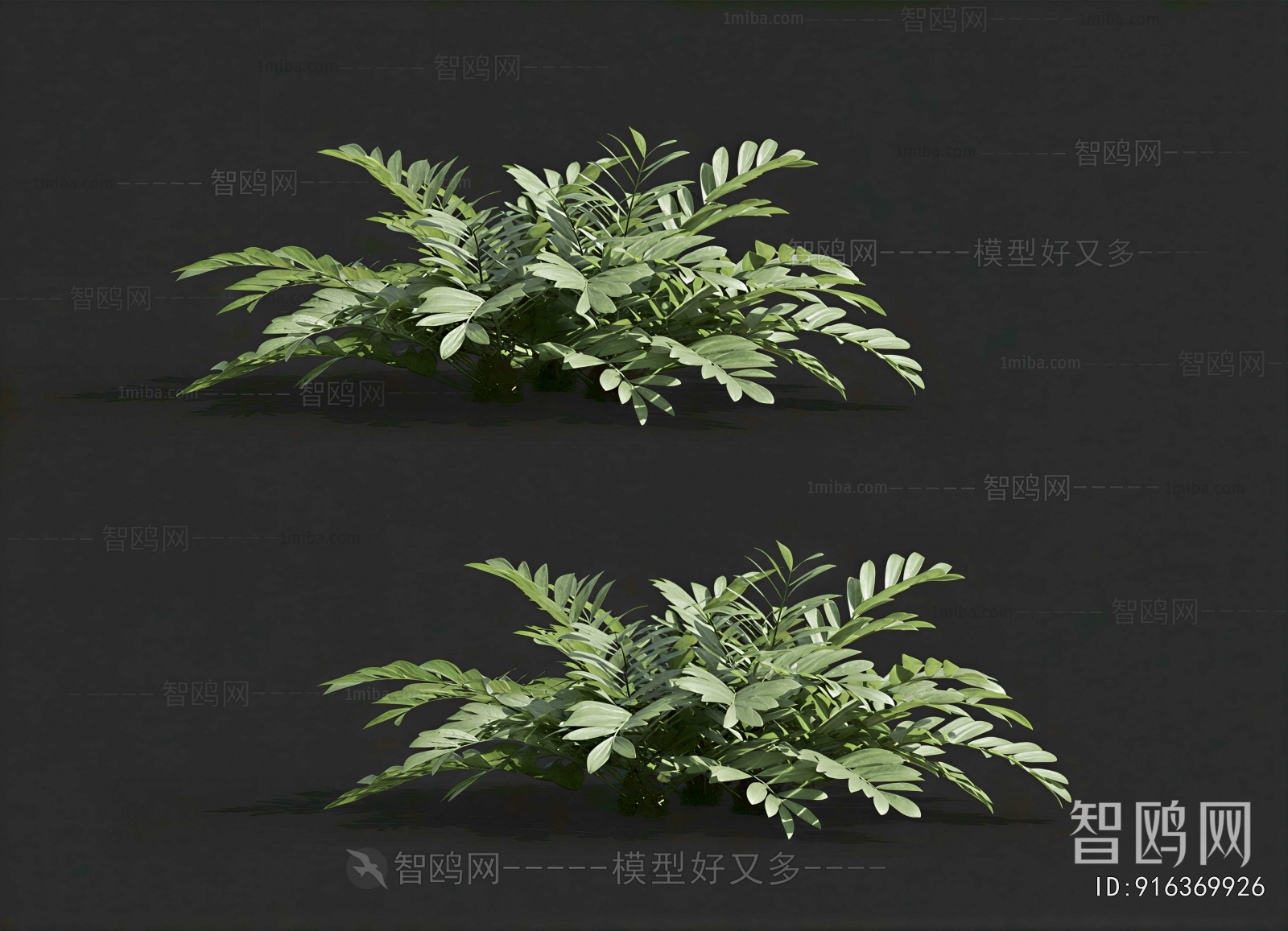 Modern Flowers And Grass