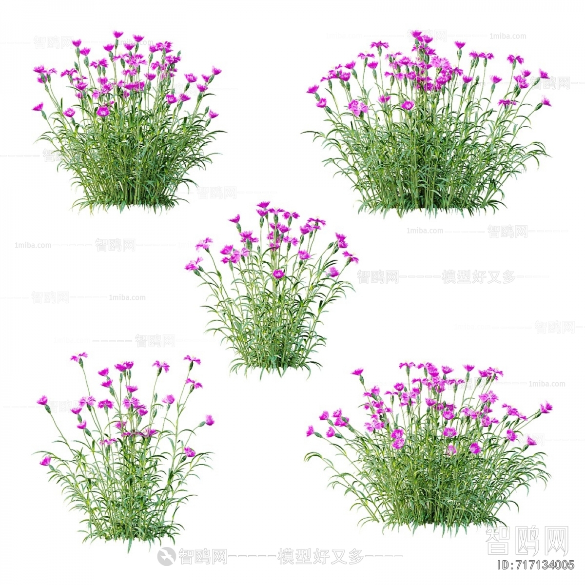 Modern Flowers And Grass