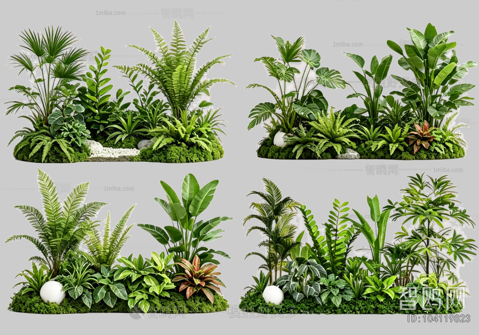 Plant Leaves
