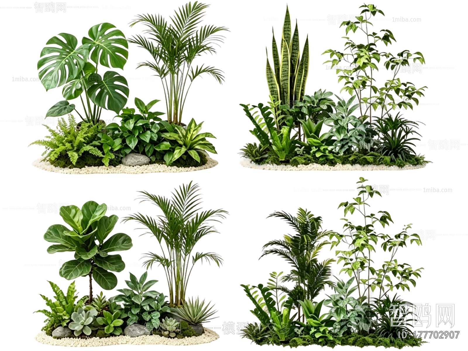 Modern Plant Landscaping