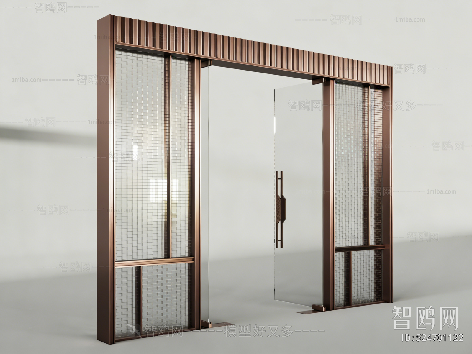 Modern Door