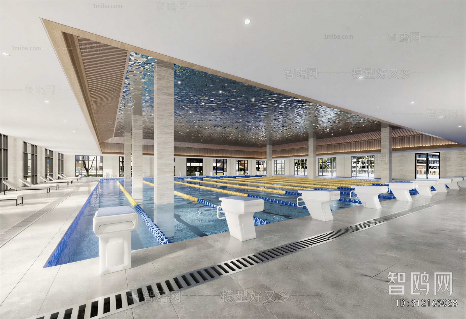 Modern Natatorium