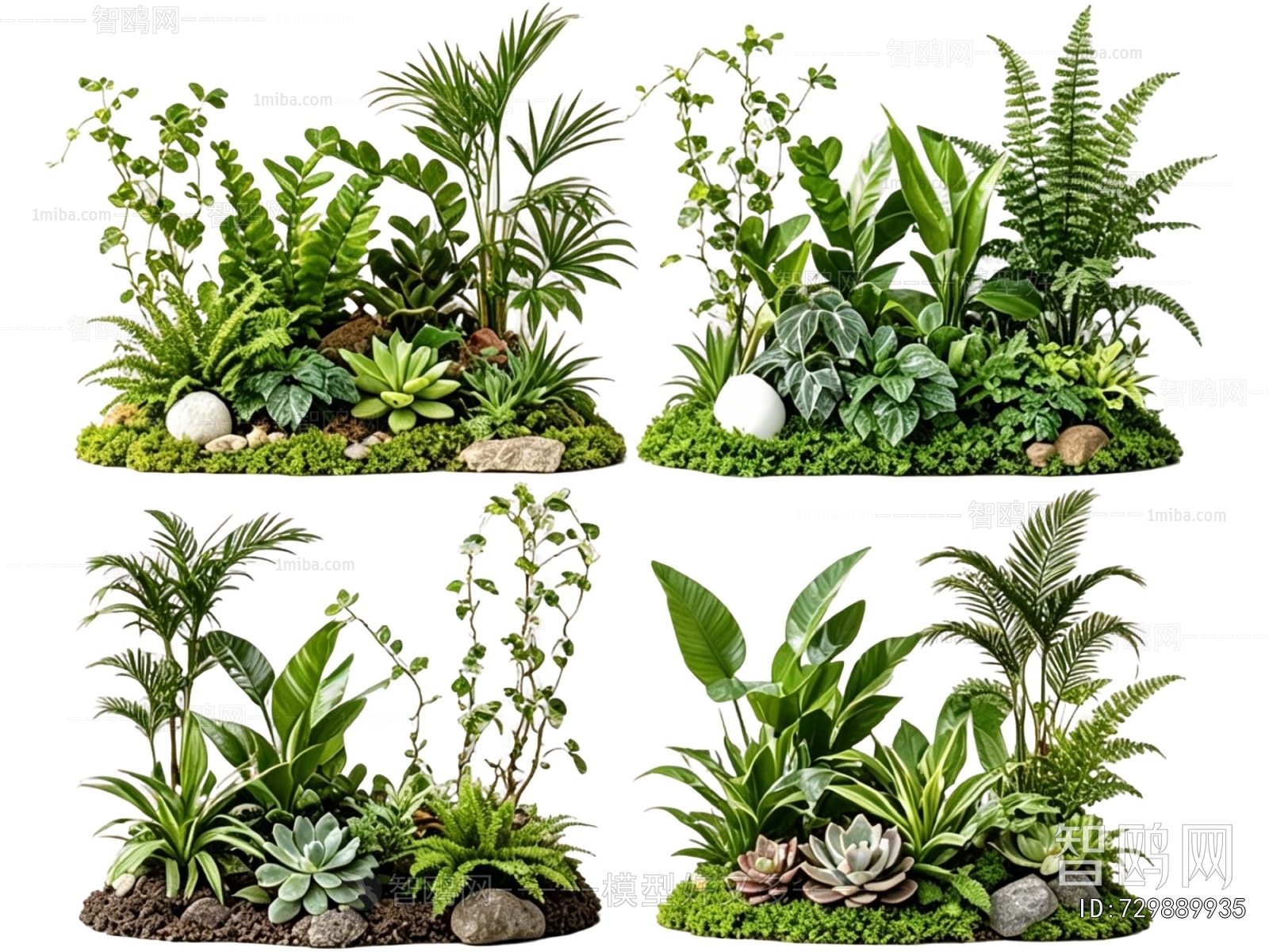 Modern Plant Landscaping