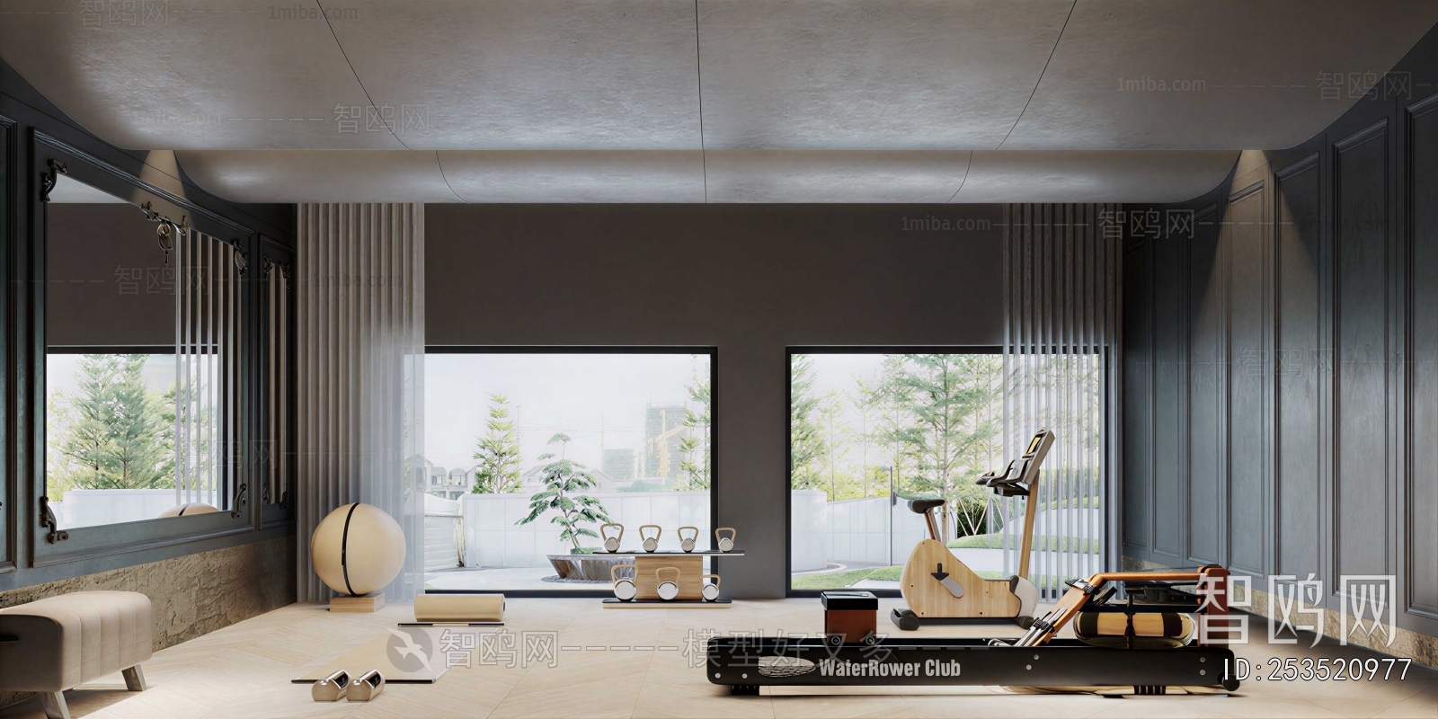 Modern Home Fitness Room