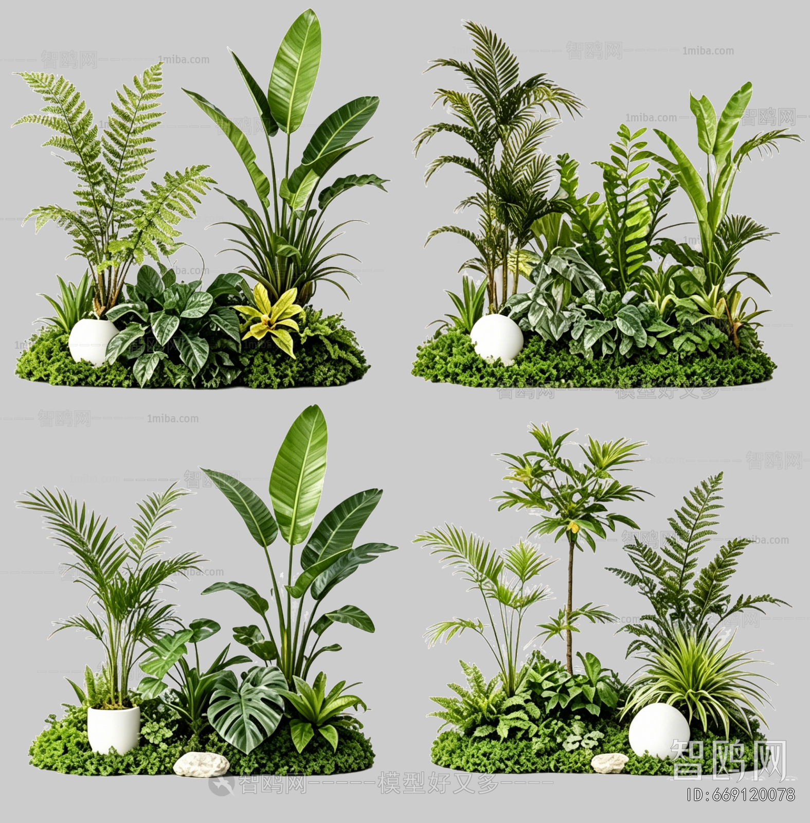 Plant Leaves