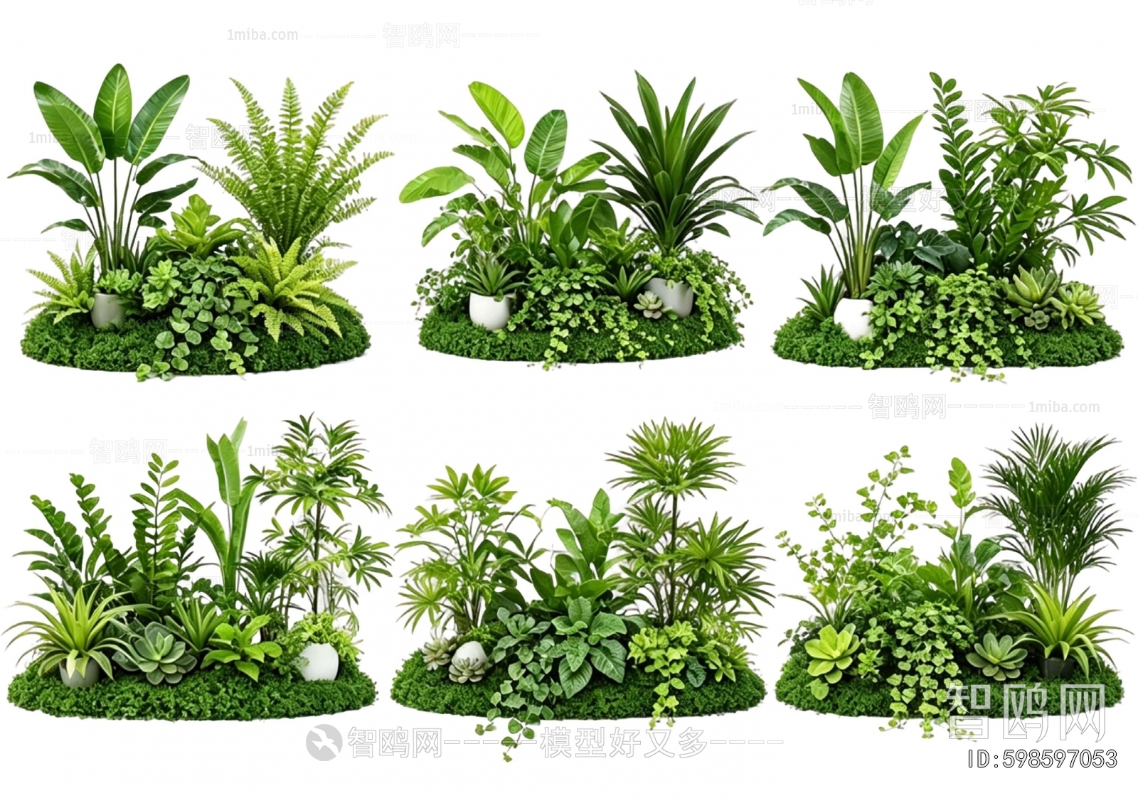 Modern Plant Landscaping