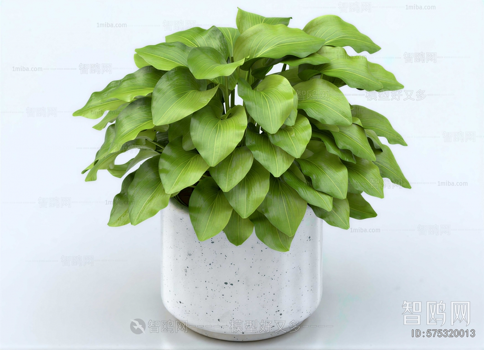 Modern Desktop Plant