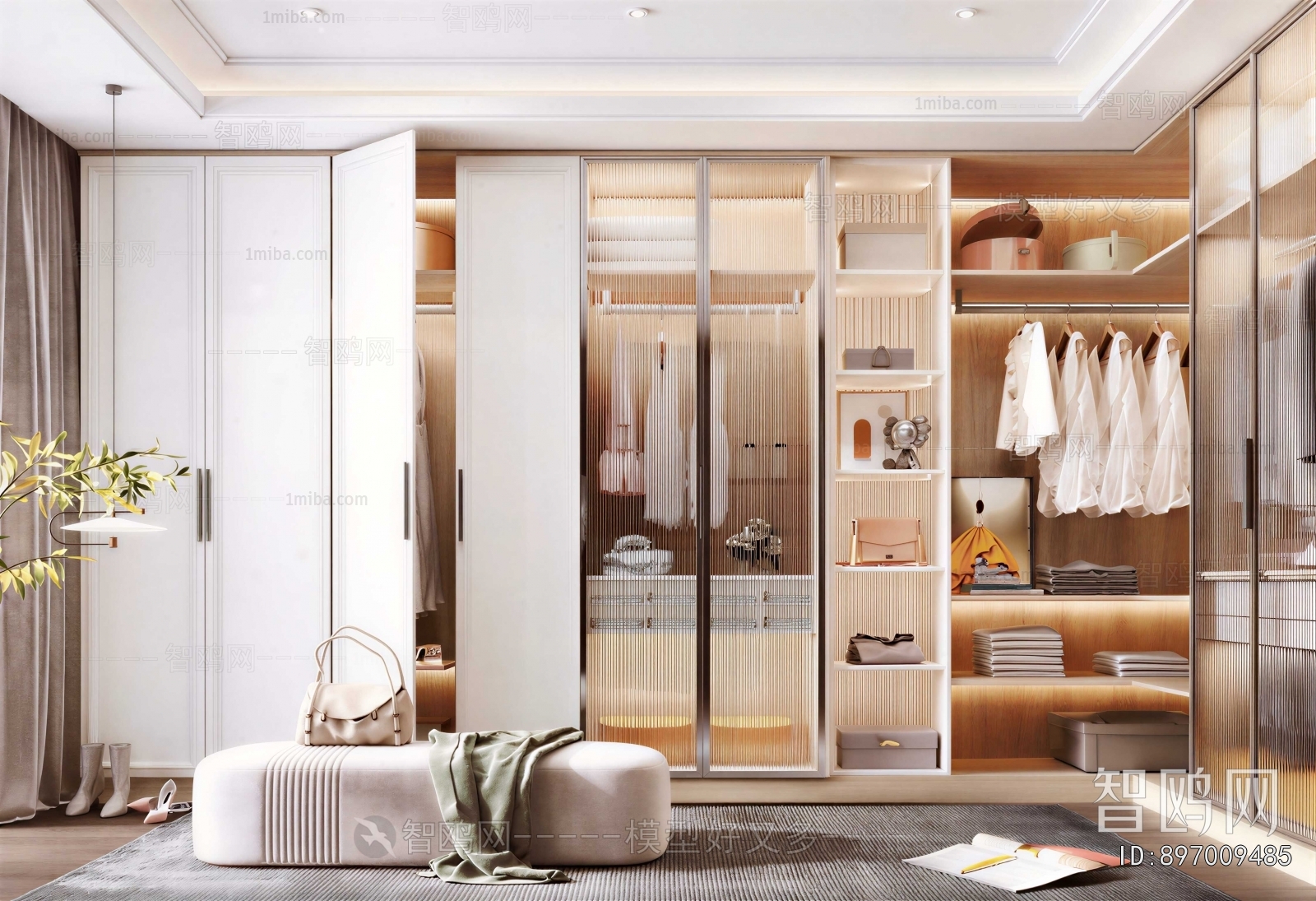 Modern Clothes Storage Area