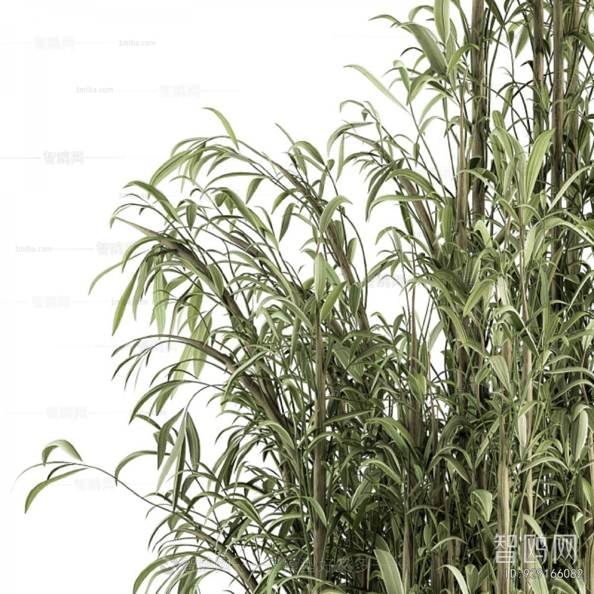 Modern Ground Green Plant Potted Plants