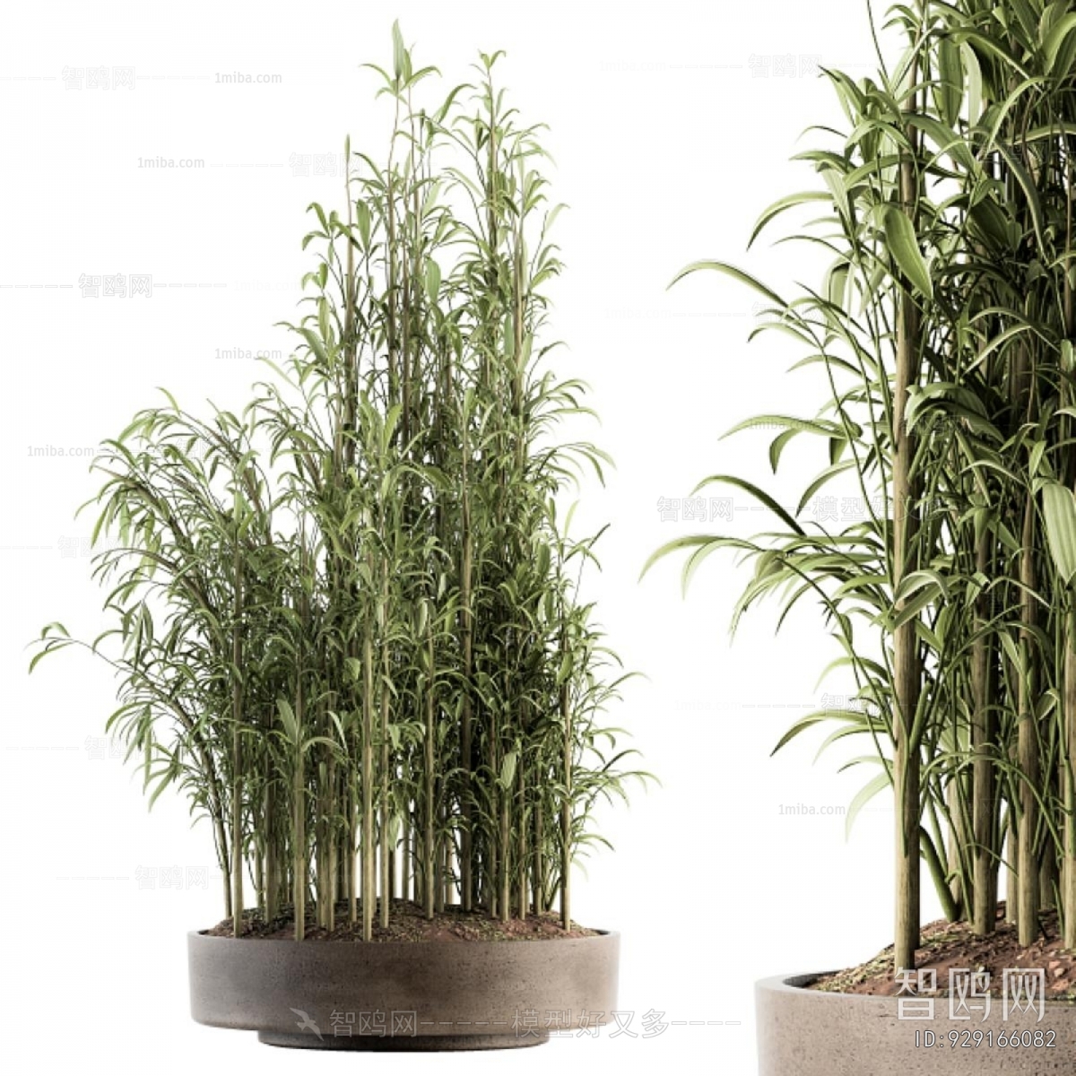 Modern Ground Green Plant Potted Plants