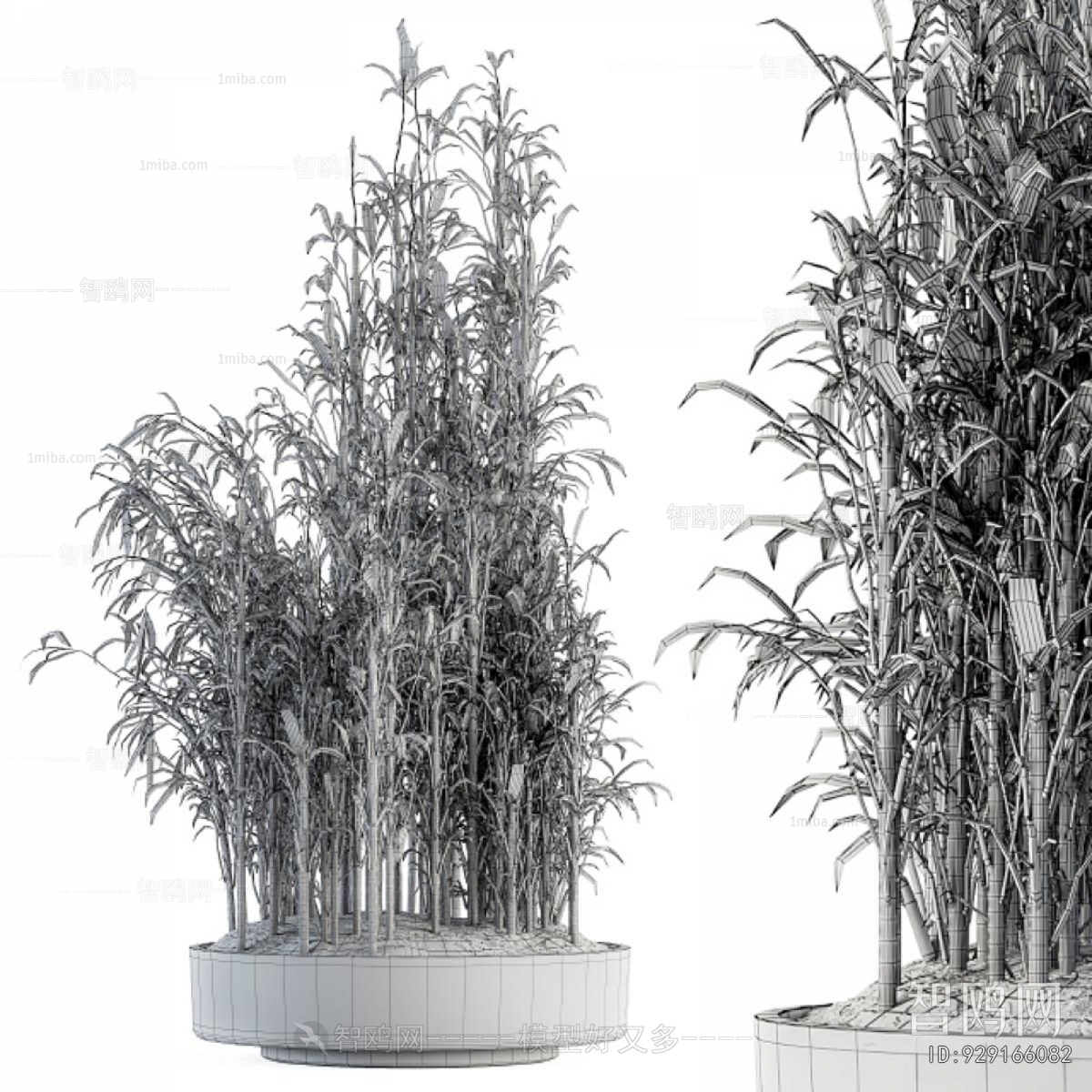 Modern Ground Green Plant Potted Plants