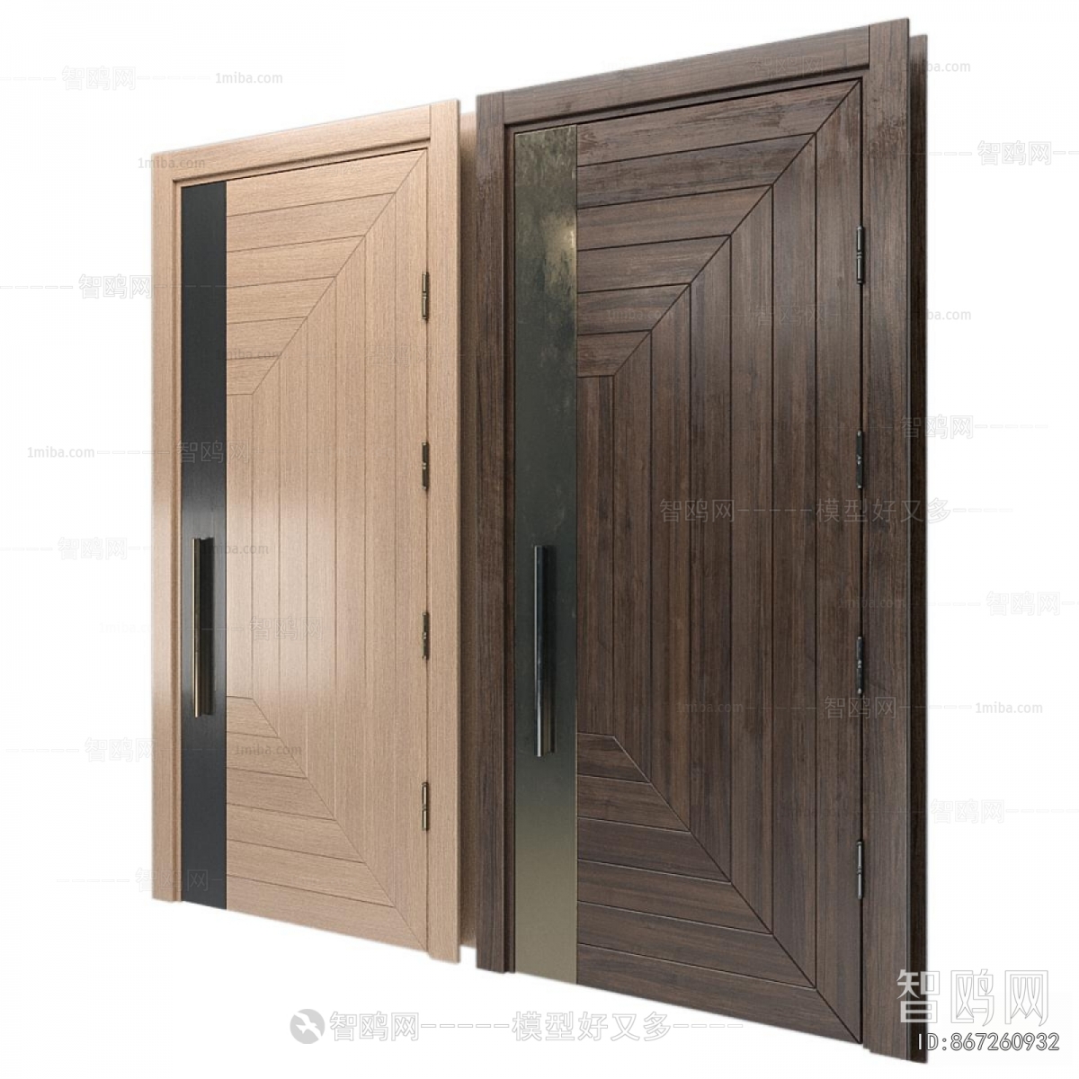 Modern Single Door