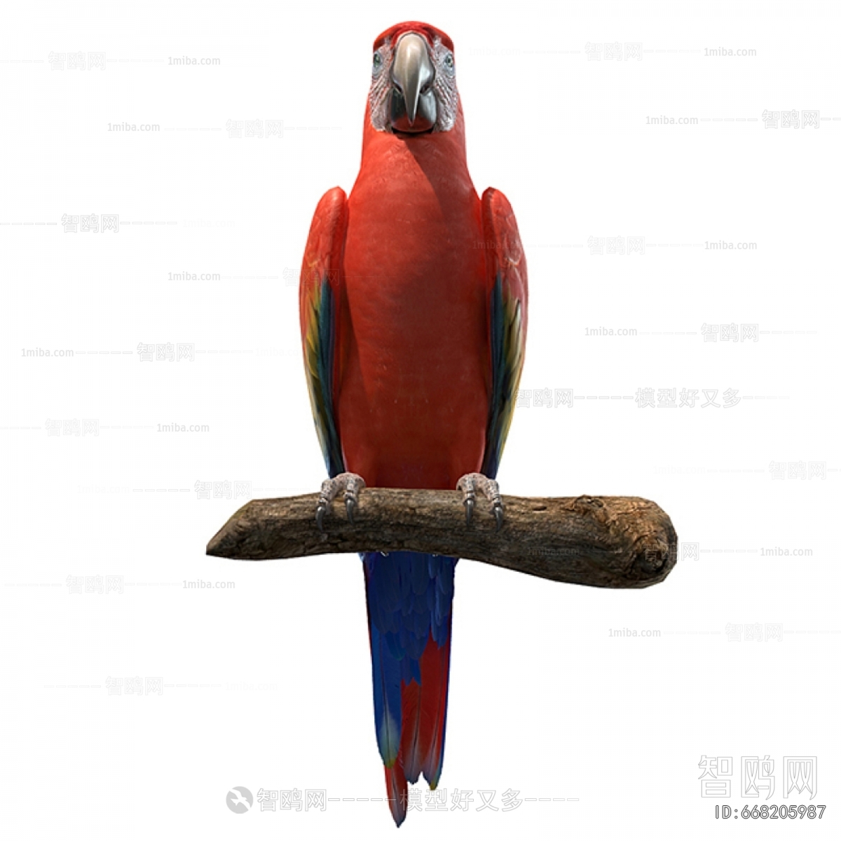 Modern Flying Animals