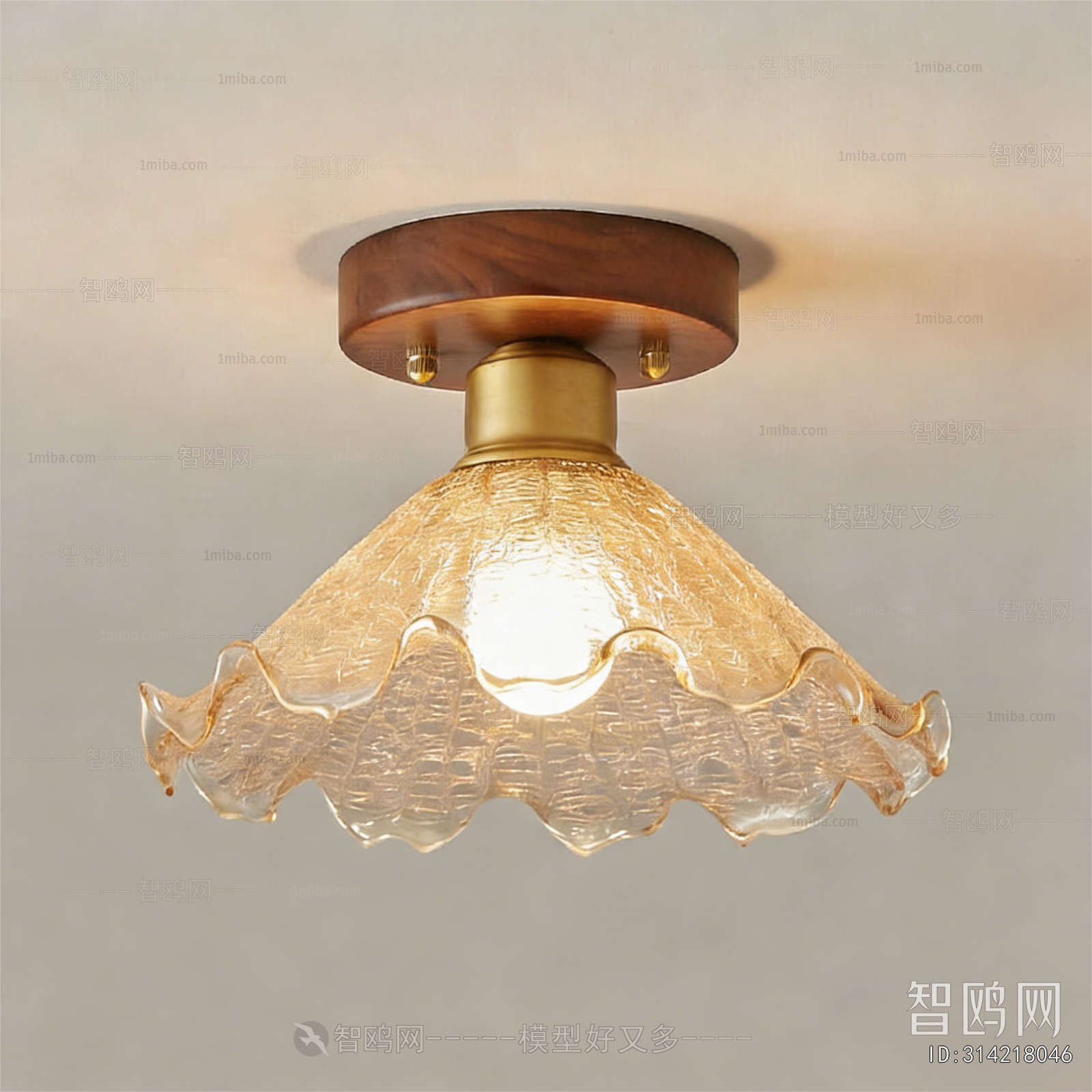 Modern Ceiling Ceiling Lamp